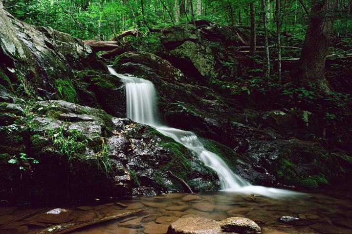 A long exposure shot shows a waterfall cascading over mossy rocks into a shallow pool in a lush forest.