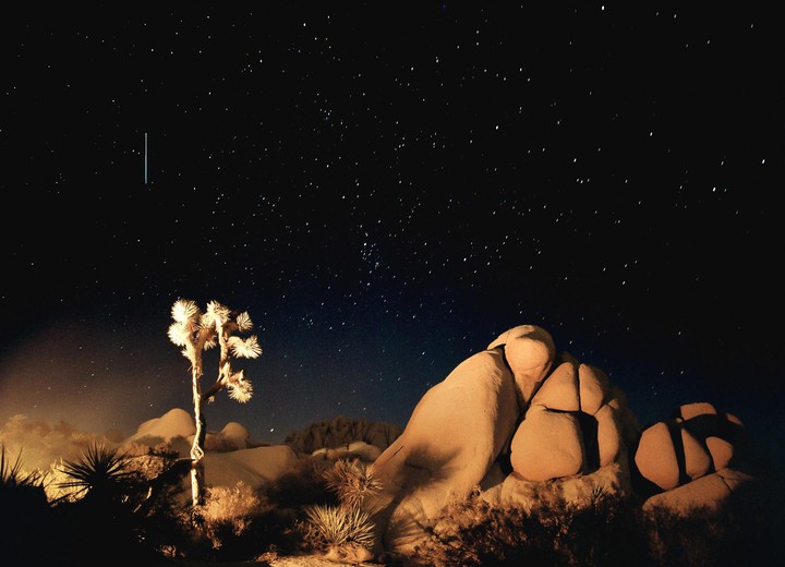 A Joshua tree stands illuminated against a dark night sky filled with stars, with large rock formations in the background.