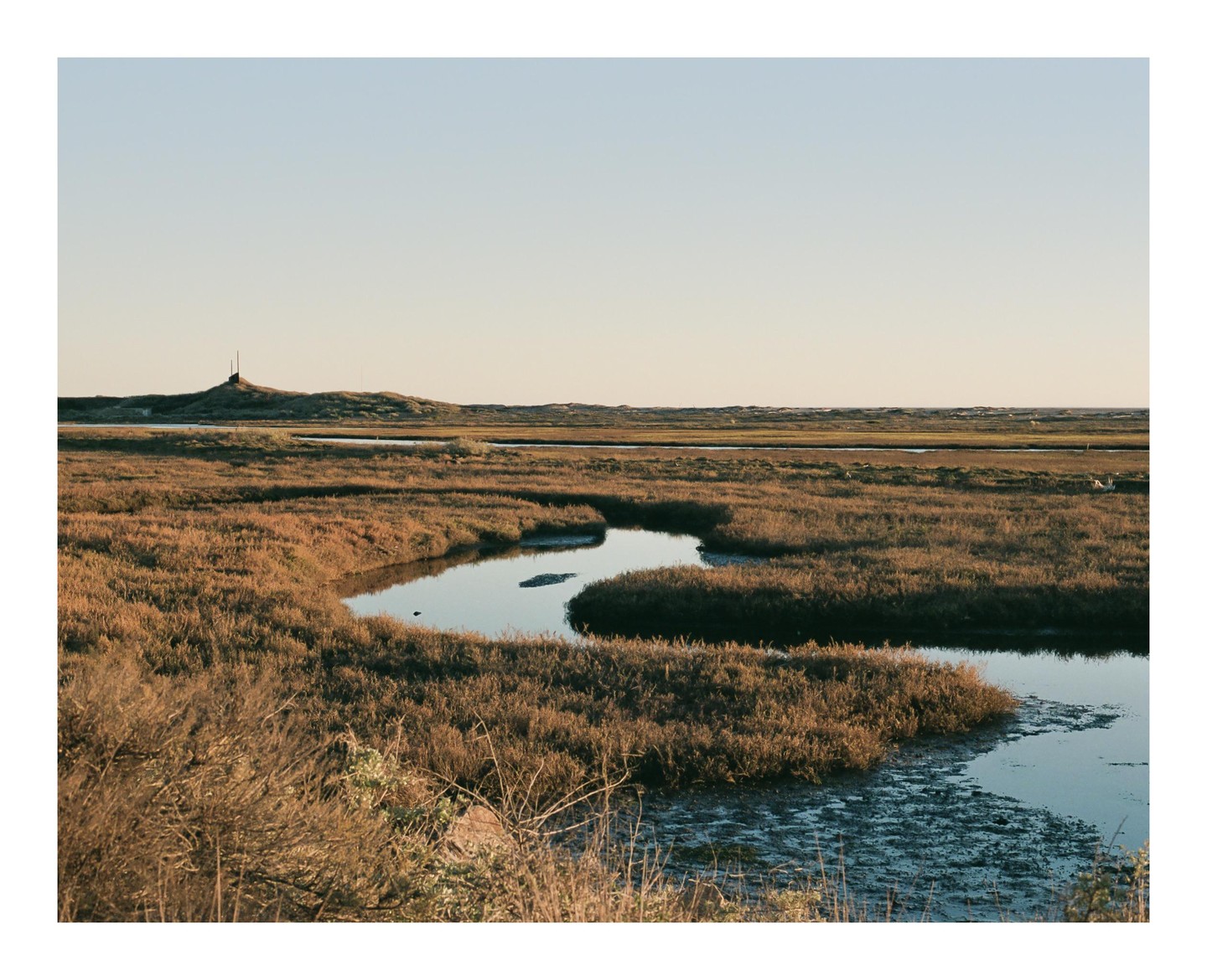A winding river flows through a marshy landscape with a small hill in the distance.