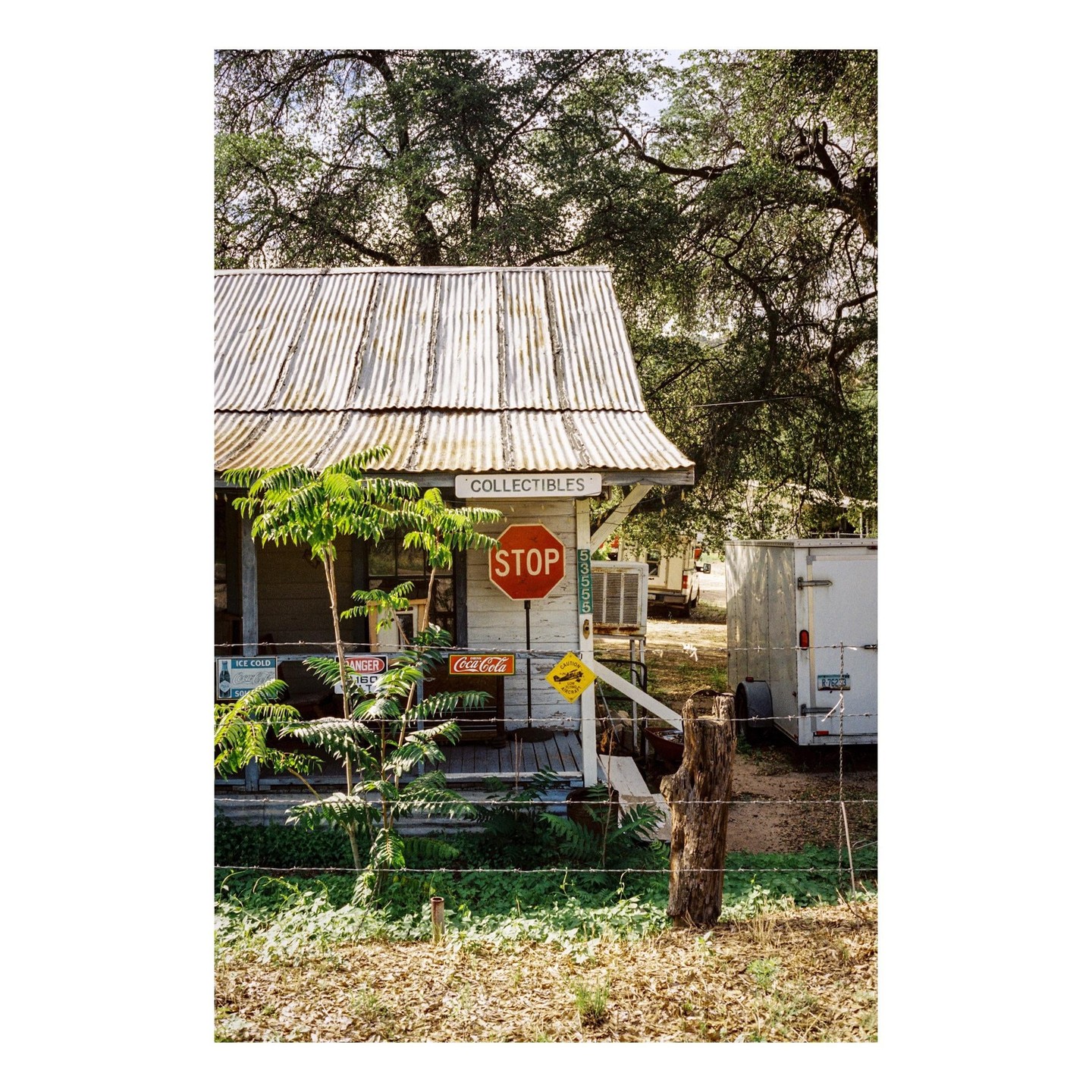 A small white building with a corrugated metal roof and a "COLLECTIBLES" sign stands behind a barbed wire fence.