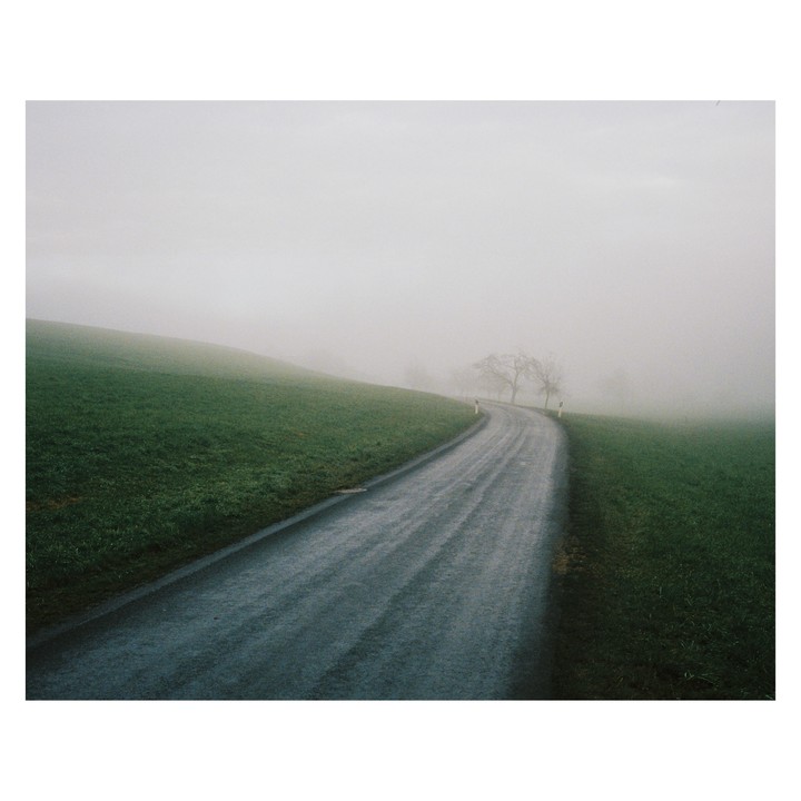 A winding road leads through a foggy, grassy landscape with bare trees in the distance.