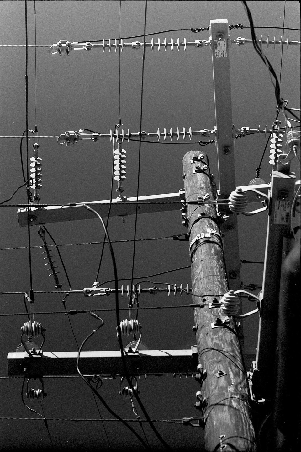 A low-angle black and white shot captures a wooden utility pole and a network of power lines against a clear sky.