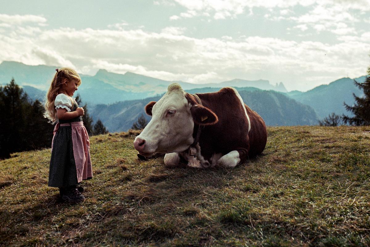 A little girl in traditional clothing stands on a grassy hill next to a cow resting on the ground, with mountains in the background.