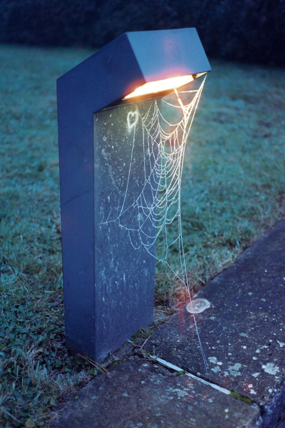 A frosted spiderweb hangs from a glowing outdoor light fixture next to a concrete path.