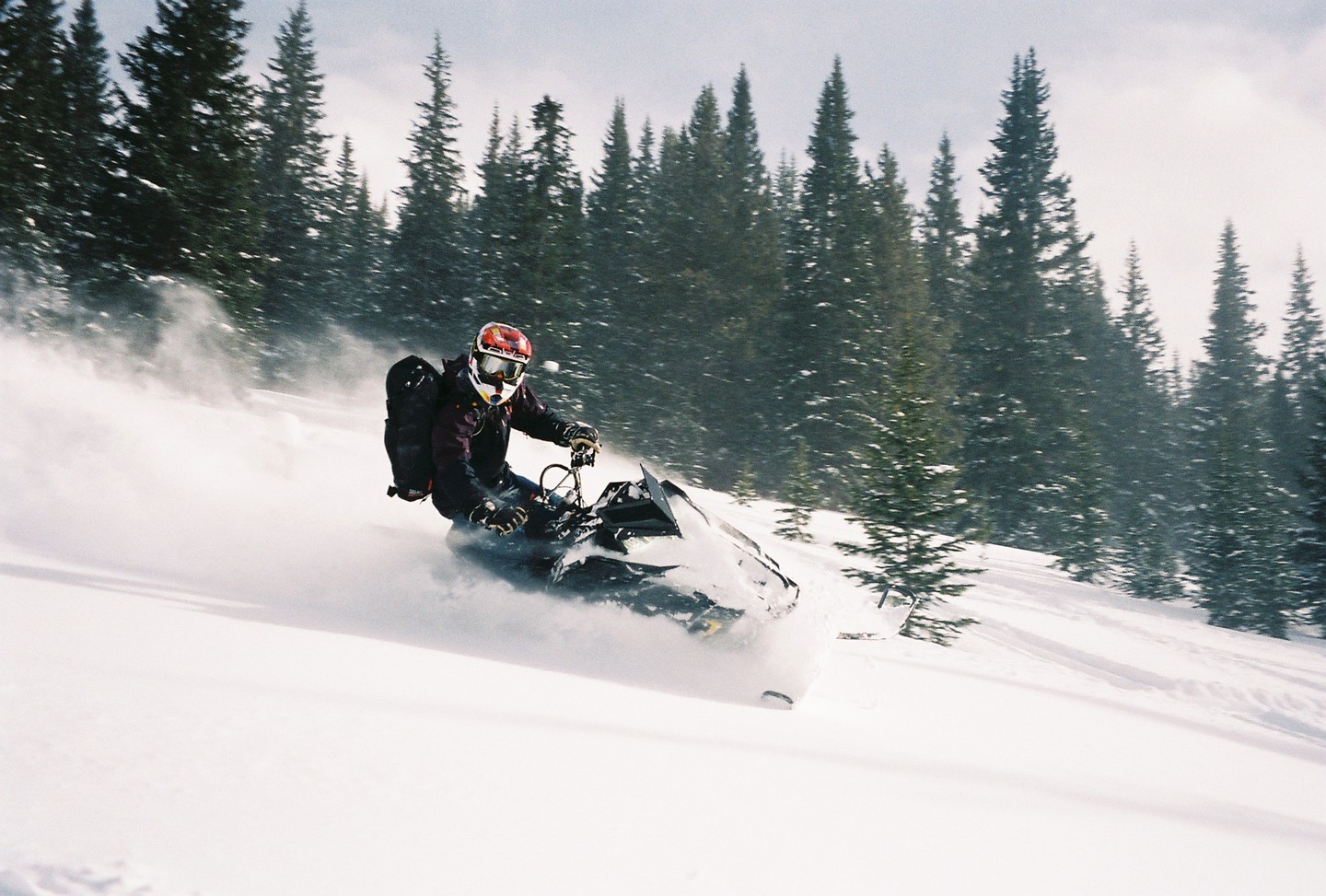 A person on a snowmobile kicks up snow on a snowy slope with a forest in the background.