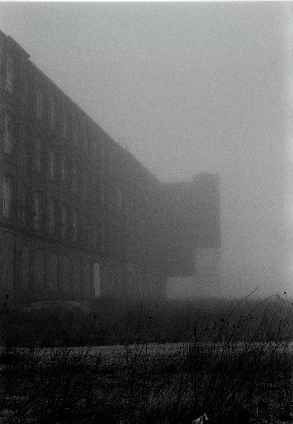 A large, dark building with many windows is partially obscured by thick fog, with tall grass and weeds in the foreground.