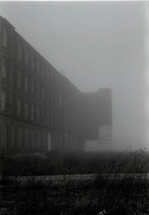 A large, dark building with many windows is partially obscured by thick fog, with tall grass and weeds in the foreground.