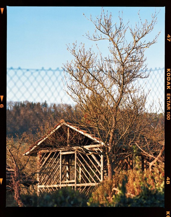 A wooden structure with a tiled roof stands among bare trees and bushes under a clear sky, with a fence in the background.