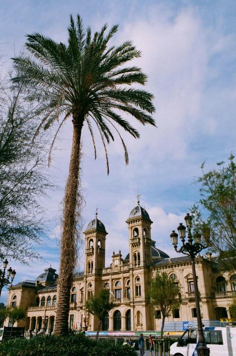 A tall palm tree stands in front of a large, ornate building with two prominent towers under a partly cloudy sky.