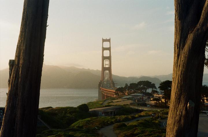 The Golden Gate Bridge is visible between two large tree trunks with hills and water in the background.