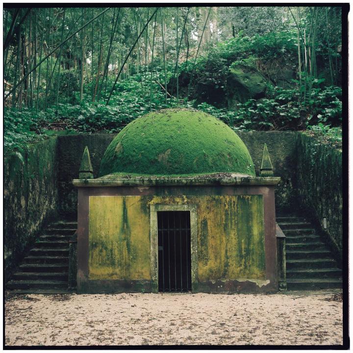 A small, moss-covered building with a domed roof is nestled in a lush, green forest with stairs leading up on either side.