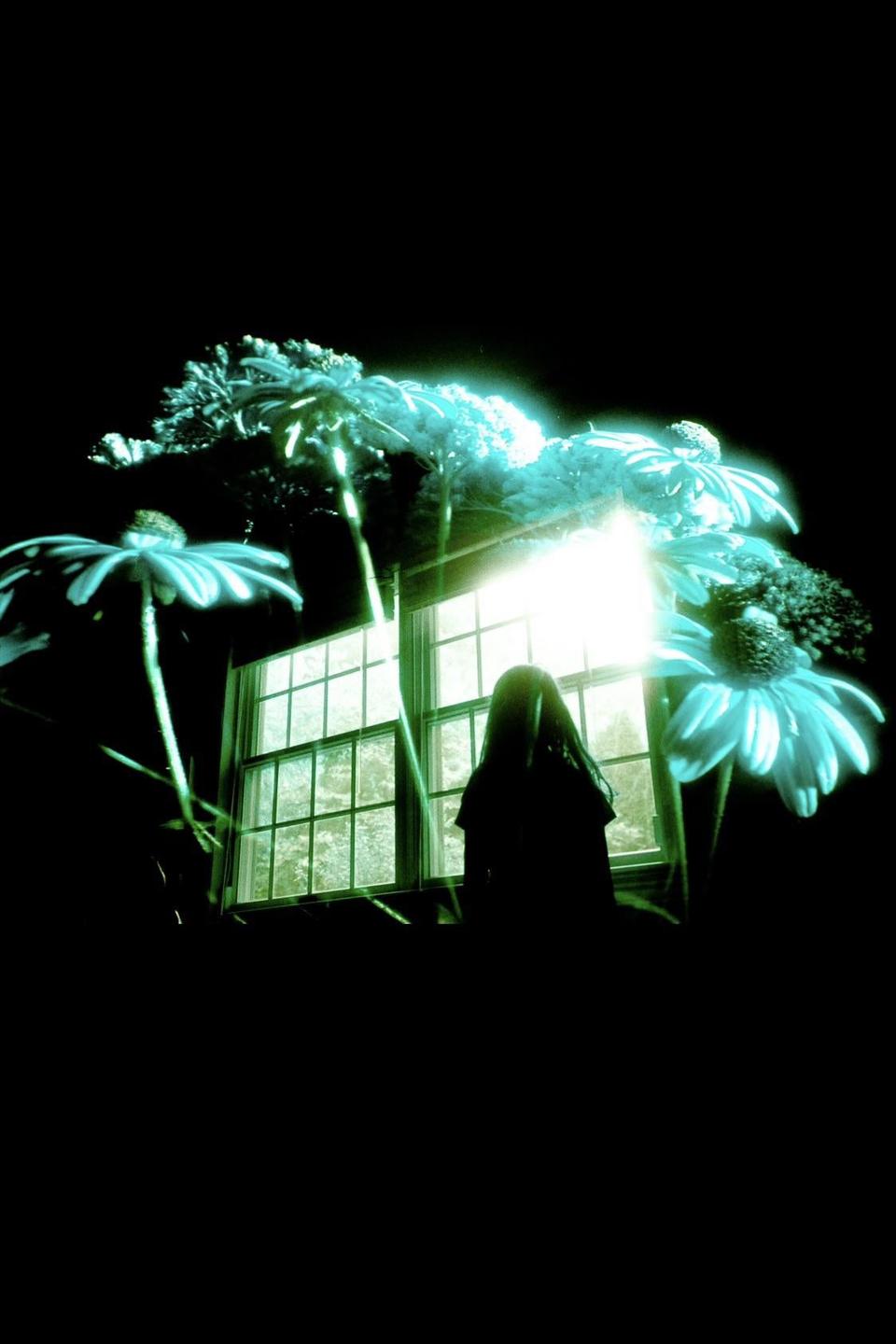 A woman stands in front of a bright window, surrounded by glowing flowers.