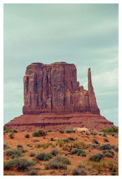 A horse stands on a desert hill with a large rock formation in the background under a cloudy sky.