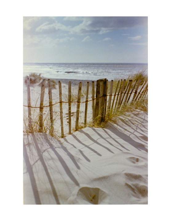 A wooden fence with barbed wire casts long shadows on a sandy beach with the ocean in the background.