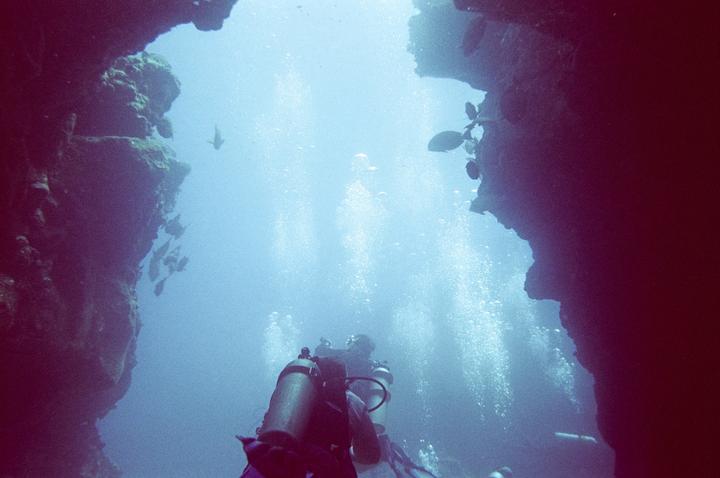 A diver is visible underwater with bubbles rising and fish swimming near rock formations.