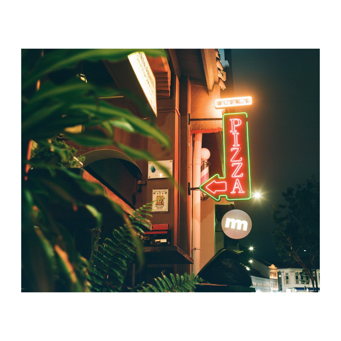 A neon sign for pizza with an arrow pointing left is mounted on a building at night, with foliage in the foreground.