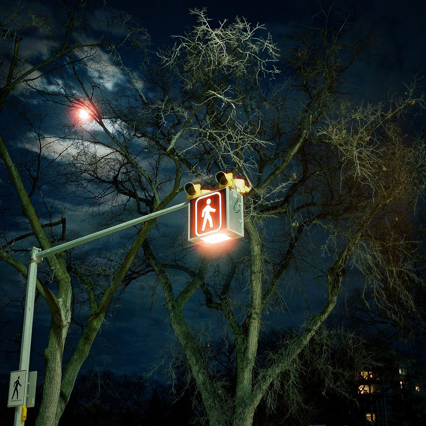 A pedestrian signal with a red walking person symbol is illuminated at night, surrounded by bare tree branches against a dark sky.