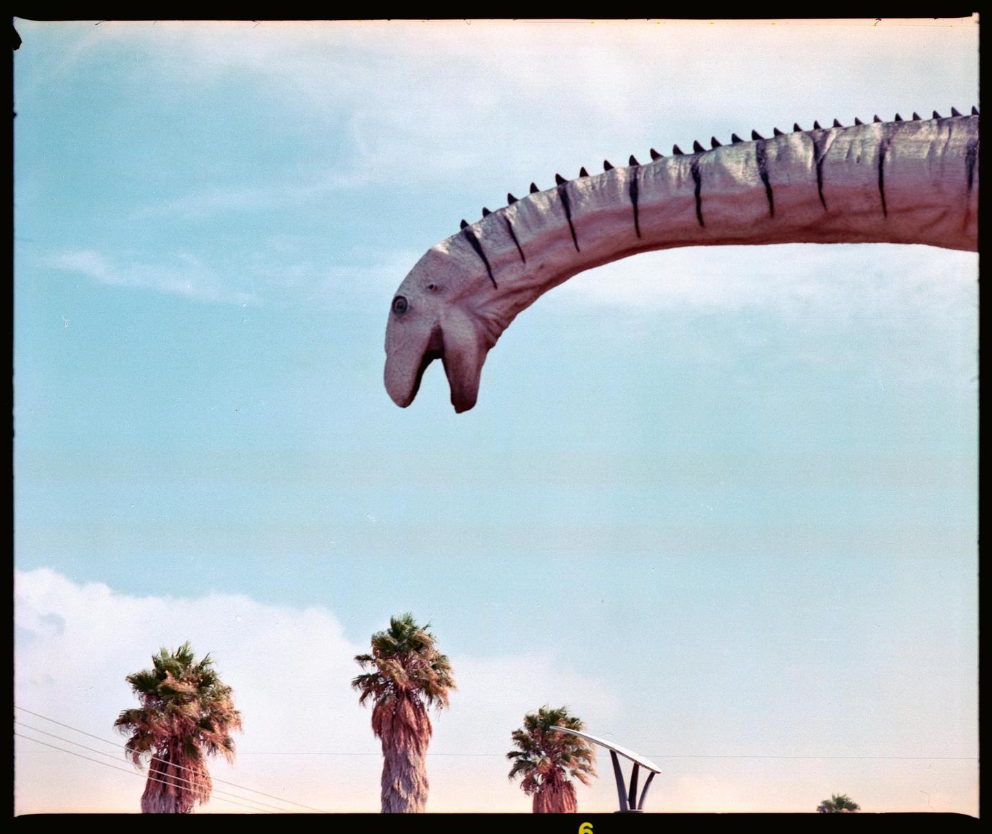 A large dinosaur statue with a long neck is visible against a blue sky with palm trees below.