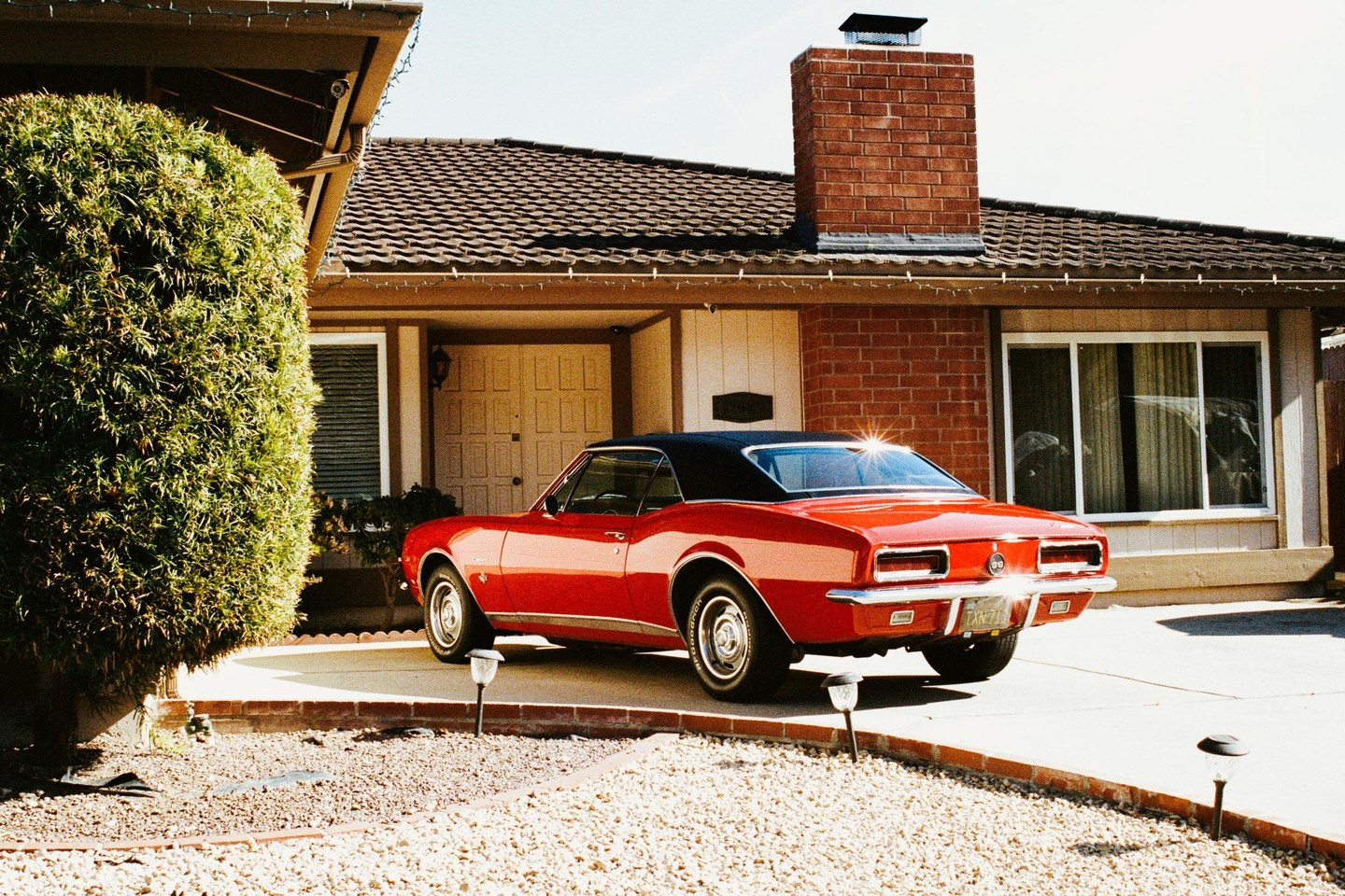 A red car is parked in the driveway of a house with a large green bush in the foreground.