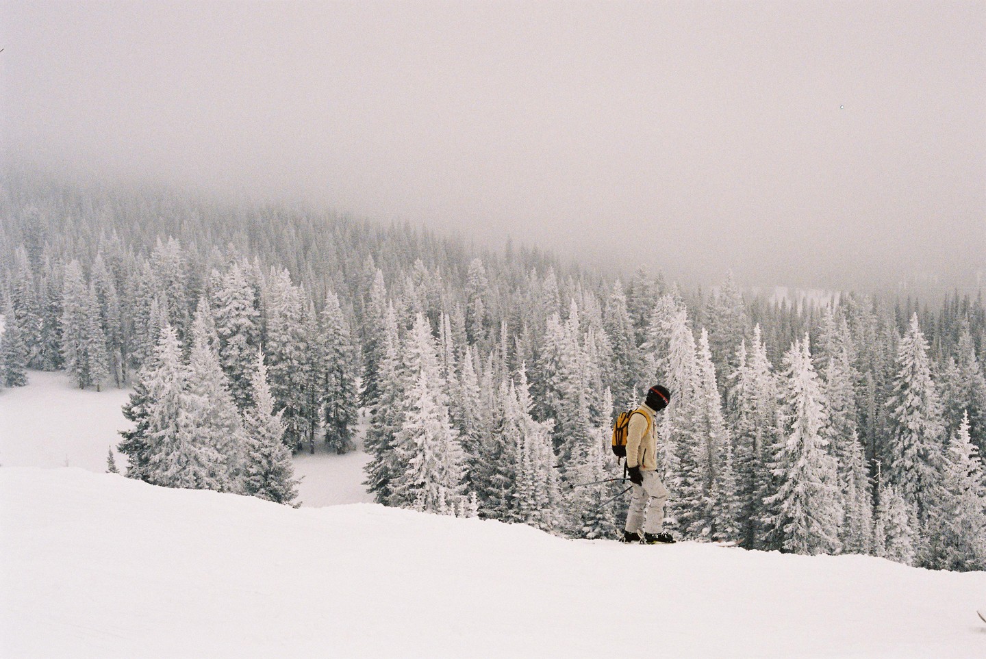 A person stands on a snowy slope overlooking a forest of snow-covered pine trees.