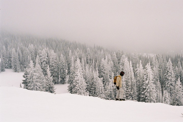A person stands on a snowy slope overlooking a forest of snow-covered pine trees.