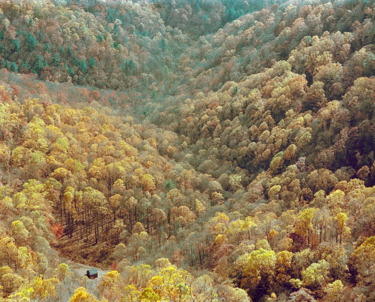 A small cabin is nestled in a valley surrounded by a forest of autumn trees.