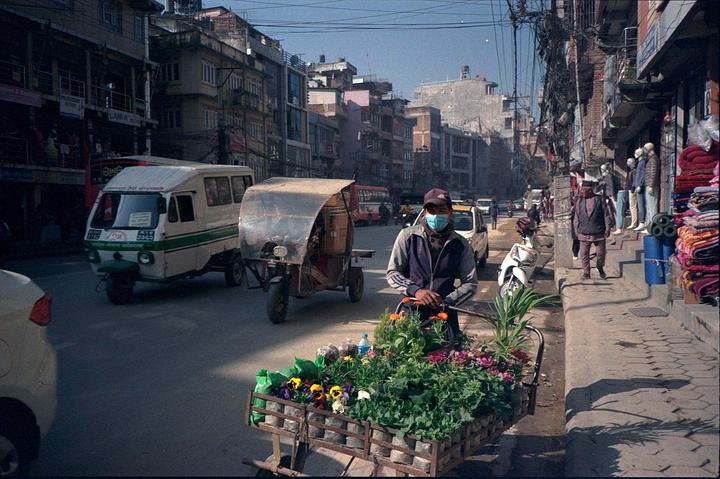 A man wearing a face mask pushes a cart full of plants and flowers down a busy street in Kathmandu.