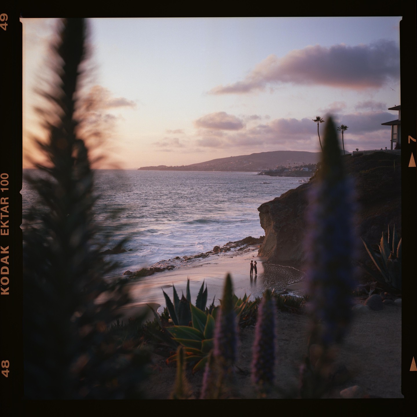 A couple stands on a beach at dusk, framed by plants in the foreground.