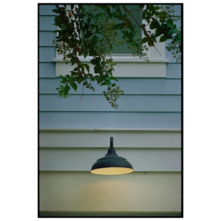 A dark outdoor light fixture illuminates a textured wall below a window and blue siding, with green foliage hanging from above.