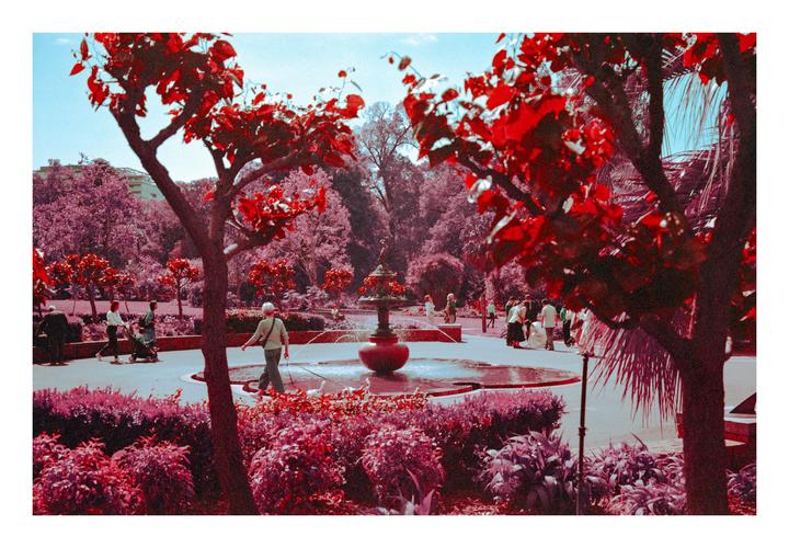 A park with a fountain and people walking around is seen through trees with red foliage.