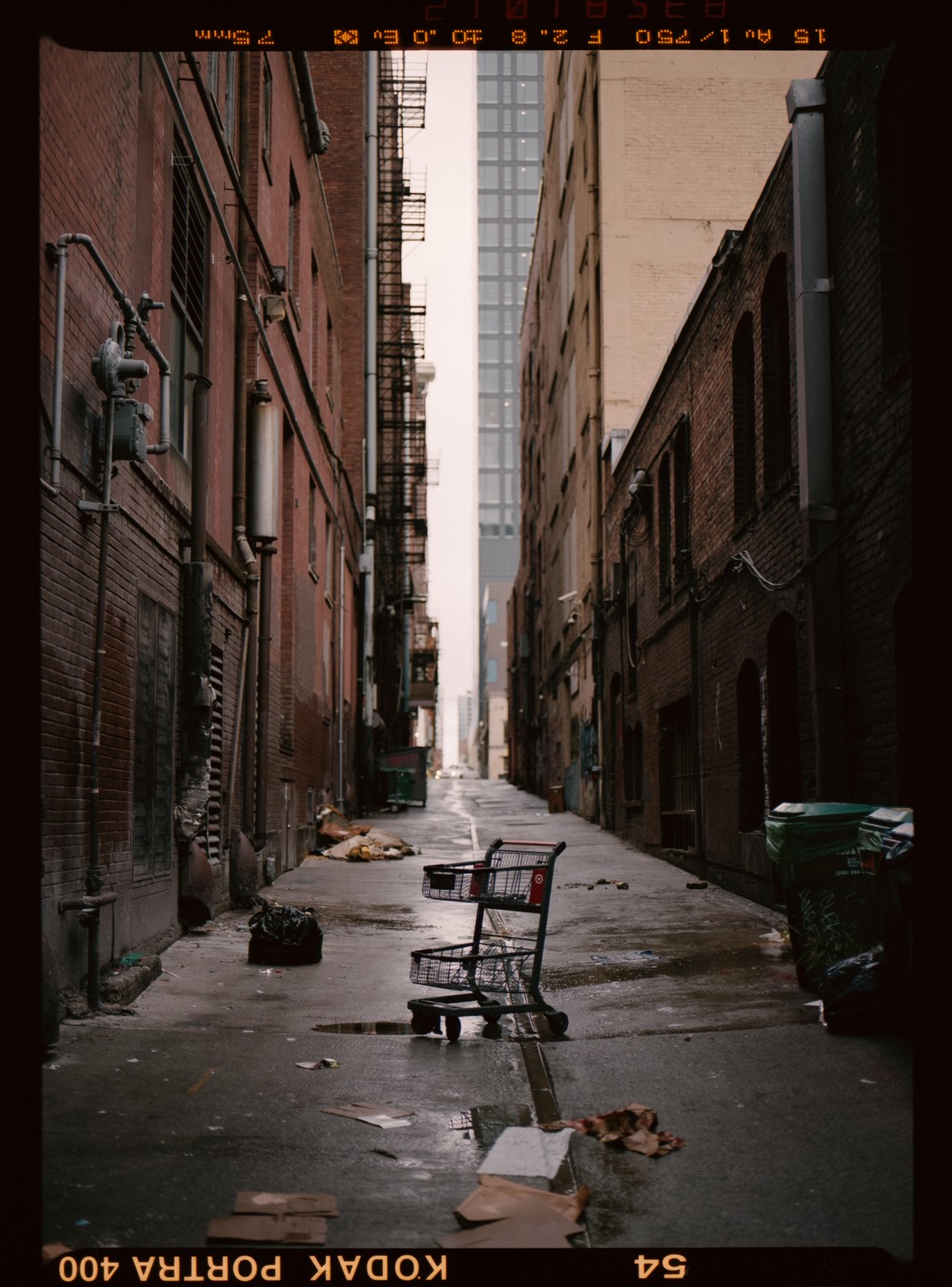 A shopping cart sits in a wet, narrow alleyway between brick buildings.