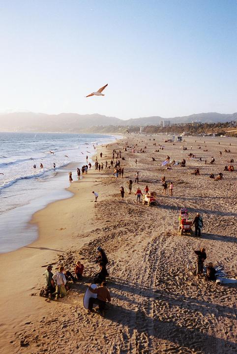 A large flock of seagulls flies over a crowded beach with mountains in the distance.