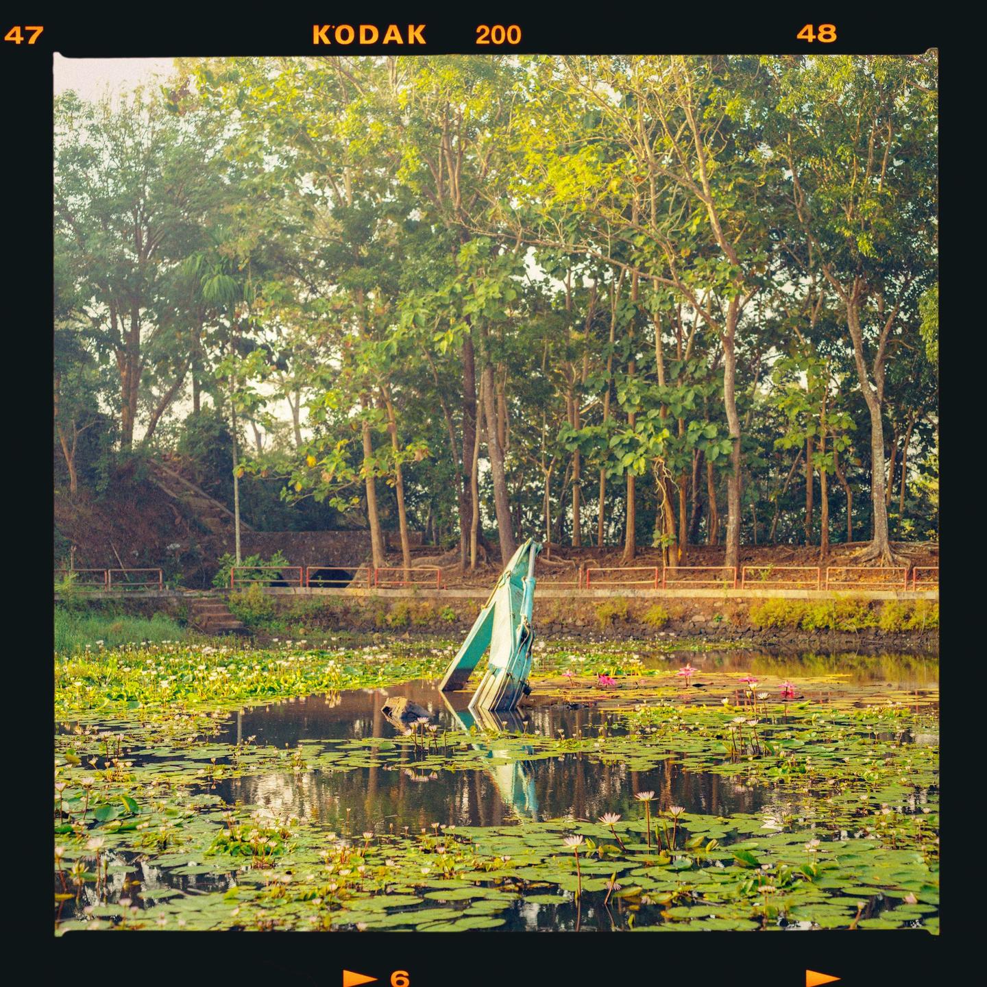 An excavator is partially submerged in a pond filled with lily pads and surrounded by trees.