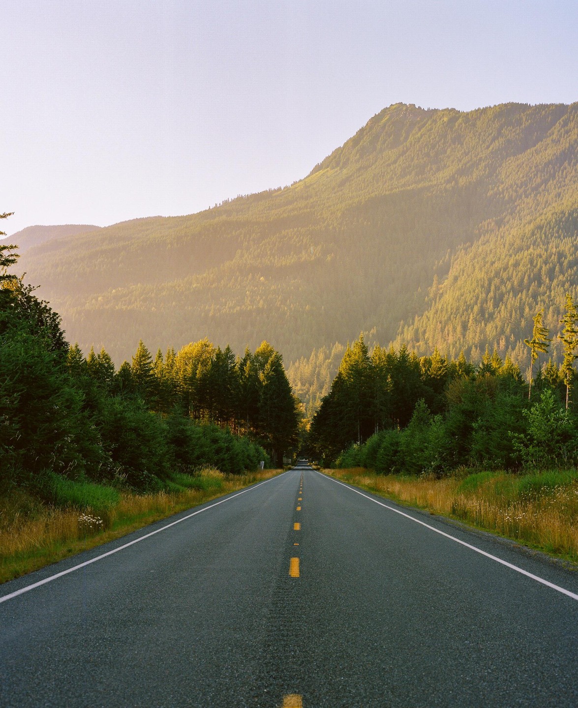A long, empty road stretches into the distance, flanked by dense forests and leading towards a large, tree-covered mountain under a hazy sky.