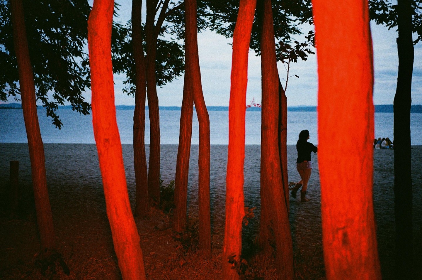 A woman walks on a beach at dusk, with red-lit tree trunks in the foreground and a body of water in the background.