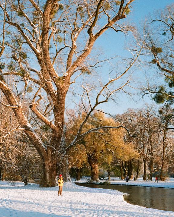 A person stands in a snowy park next to a large tree and a river.
