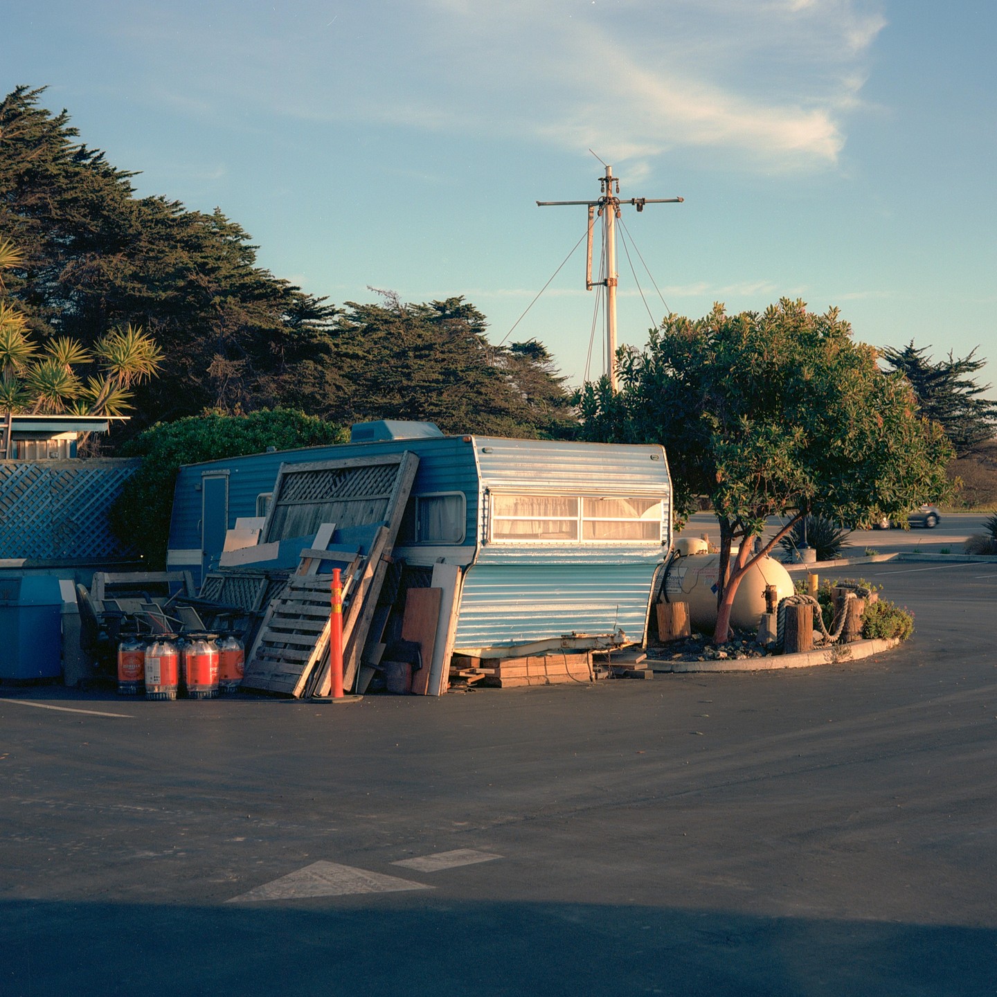A blue and white trailer is parked next to a small tree in a parking lot.