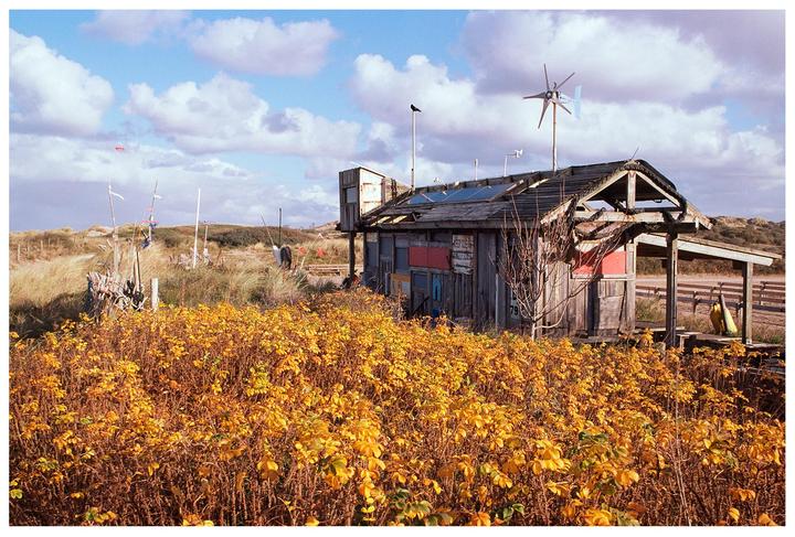 An old wooden shack with a wind turbine on its roof stands next to a field of yellow foliage under a cloudy sky.