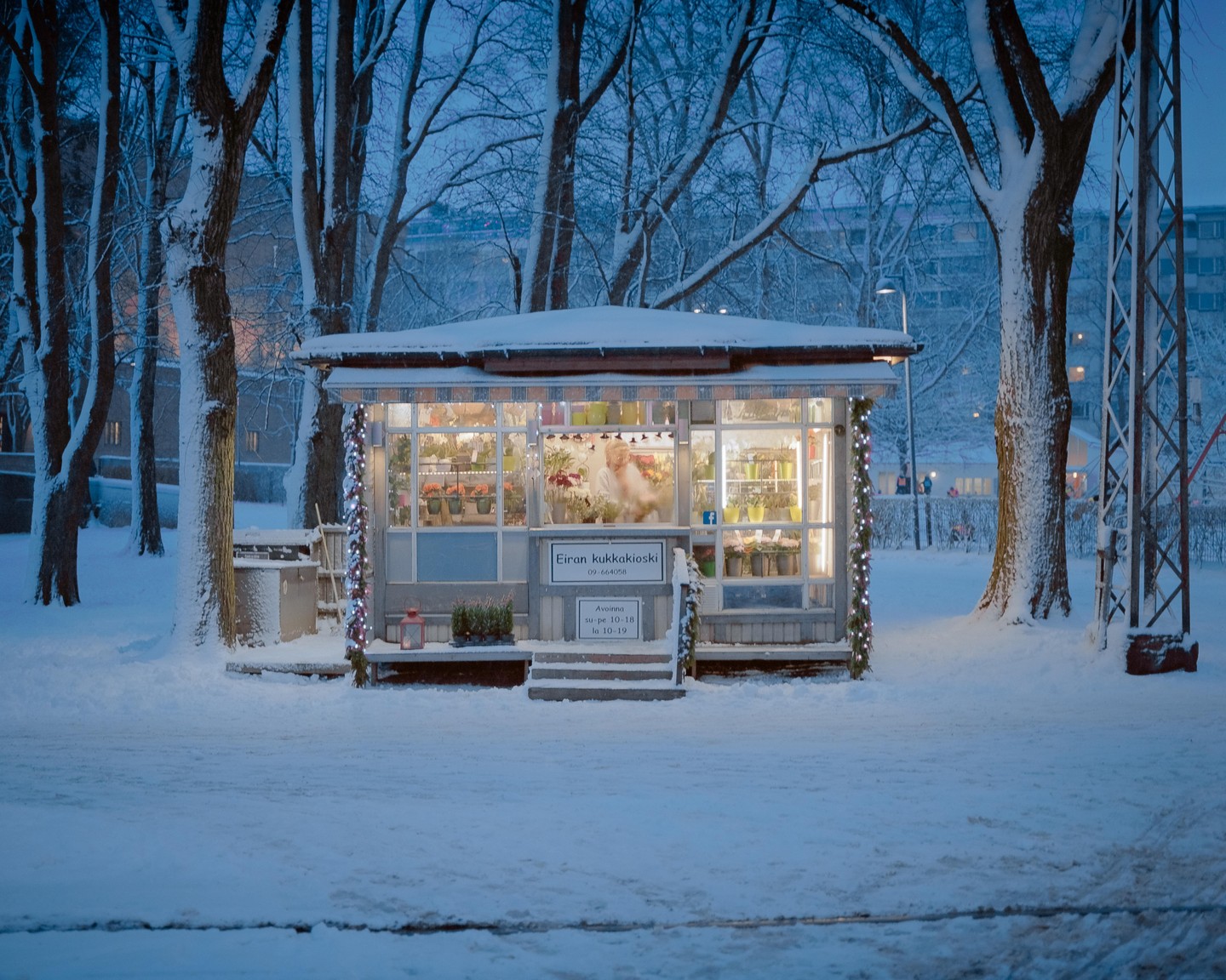 A small flower shop with illuminated windows stands in a snowy park surrounded by trees.