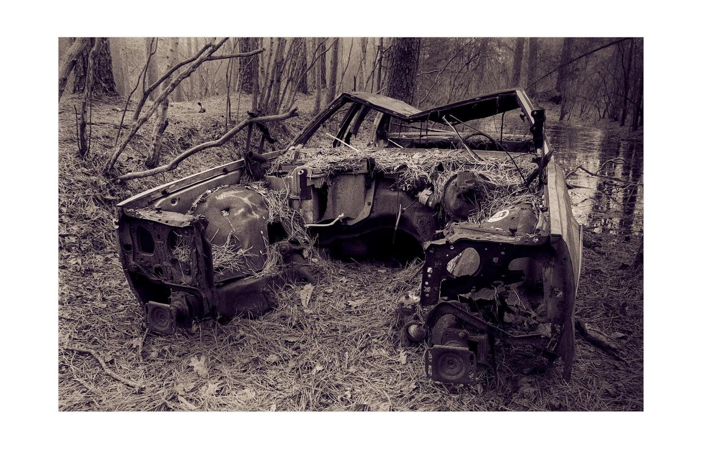 A rusted, stripped car body sits in a forest with water visible in the background.