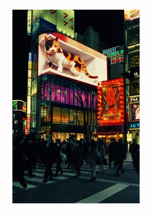 A large calico cat advertisement is displayed on the side of a building above a street with many people crossing at night.
