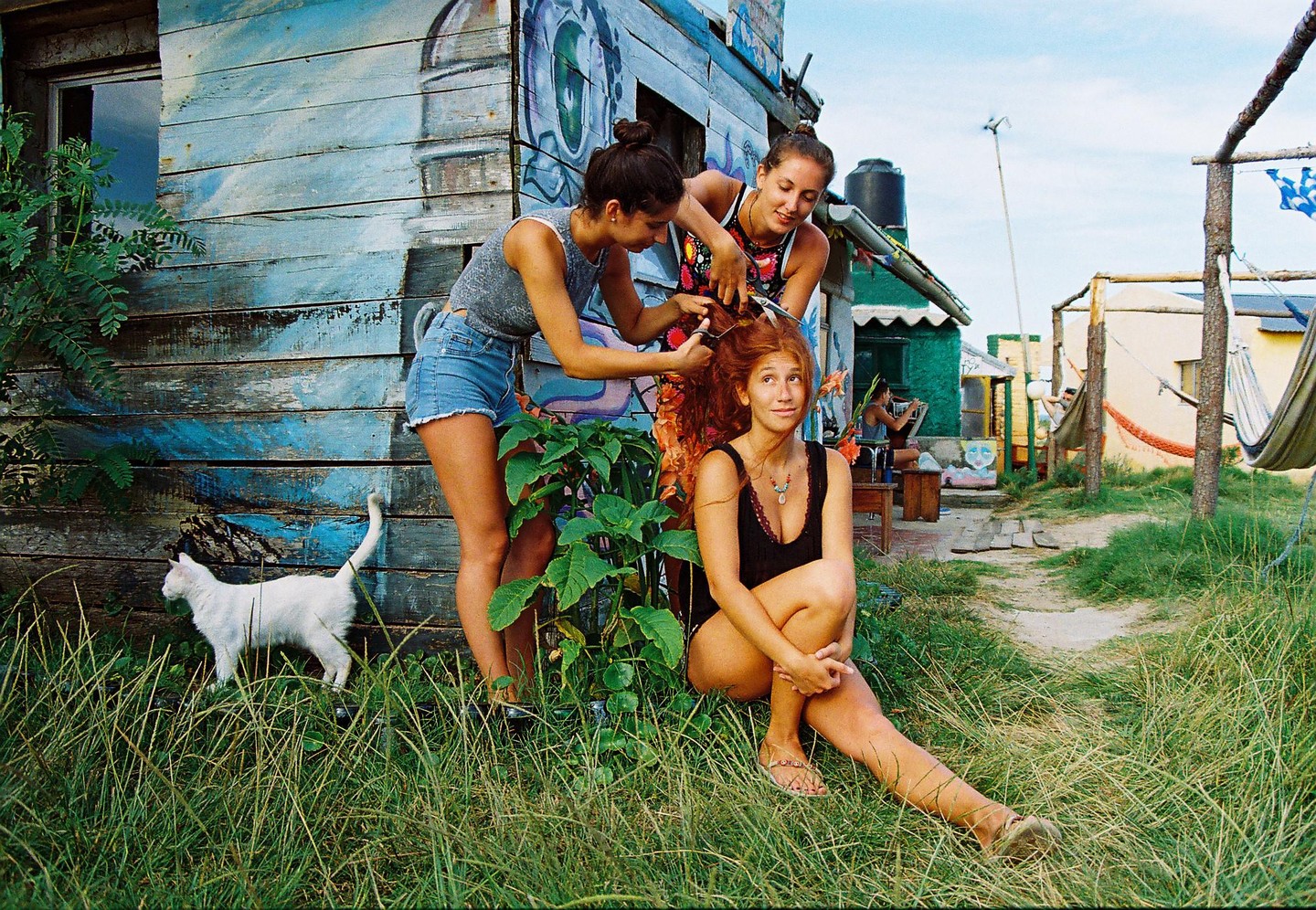 Three women are outside a rustic blue building, two of them are cutting the hair of the third woman who is sitting on the grass, while a white cat walks by.