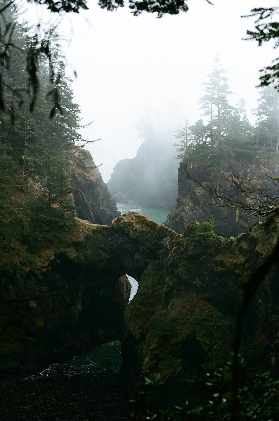 A natural rock bridge spans a narrow channel of water between two rocky, tree-covered cliffs on a foggy day.