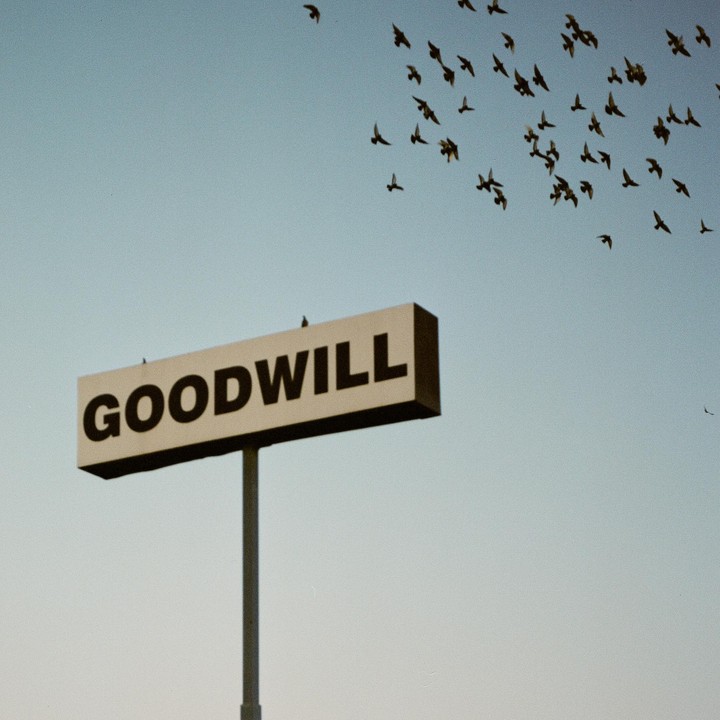 A flock of birds flies above a Goodwill sign against a clear sky.
