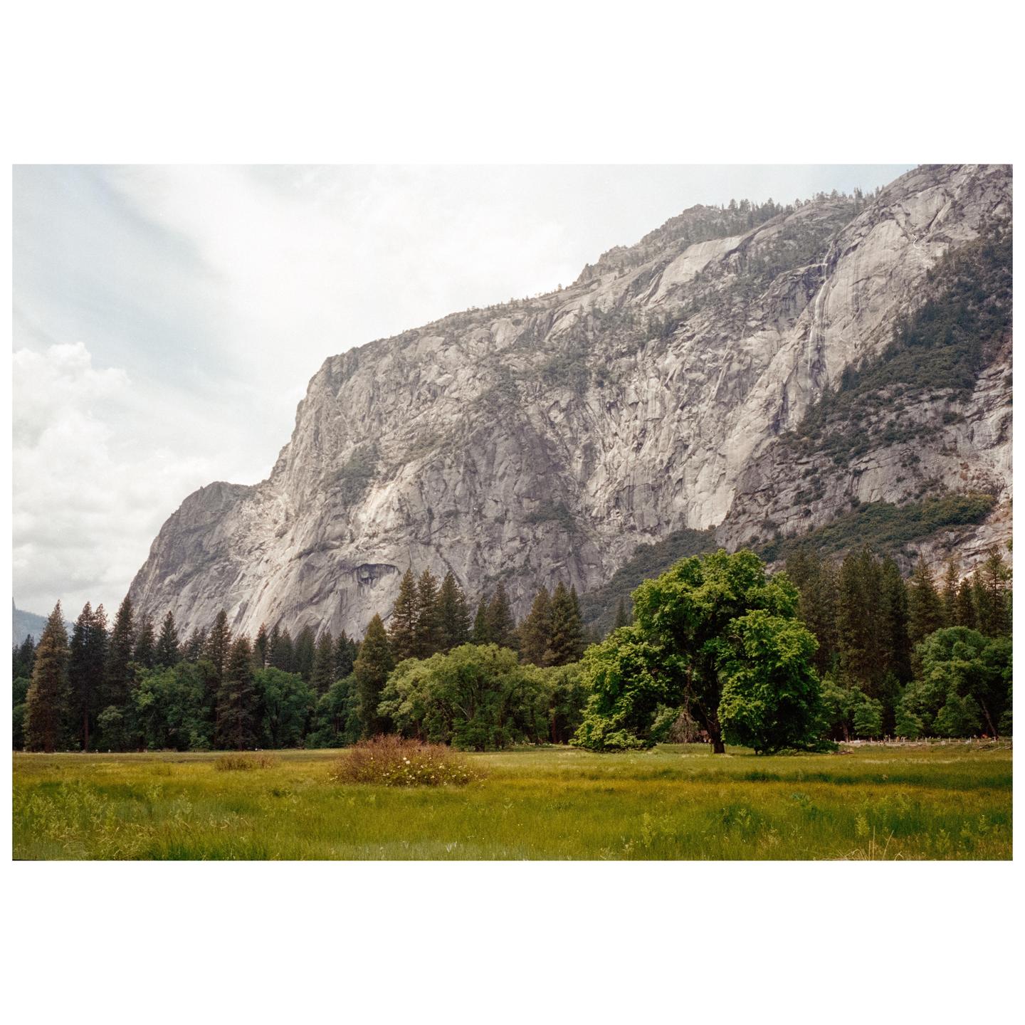 A large, rocky mountain rises above a green meadow and a line of trees.