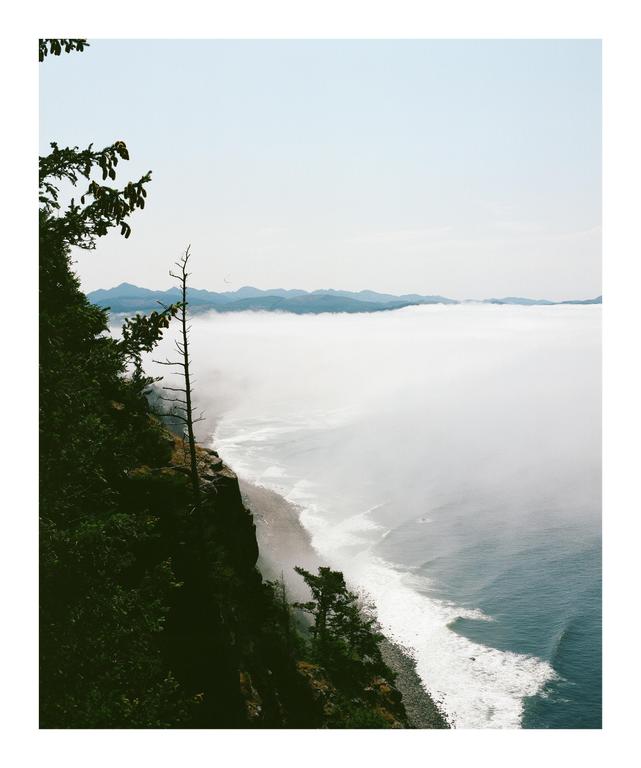 A cliff covered in trees overlooks a foggy ocean with mountains in the distance.