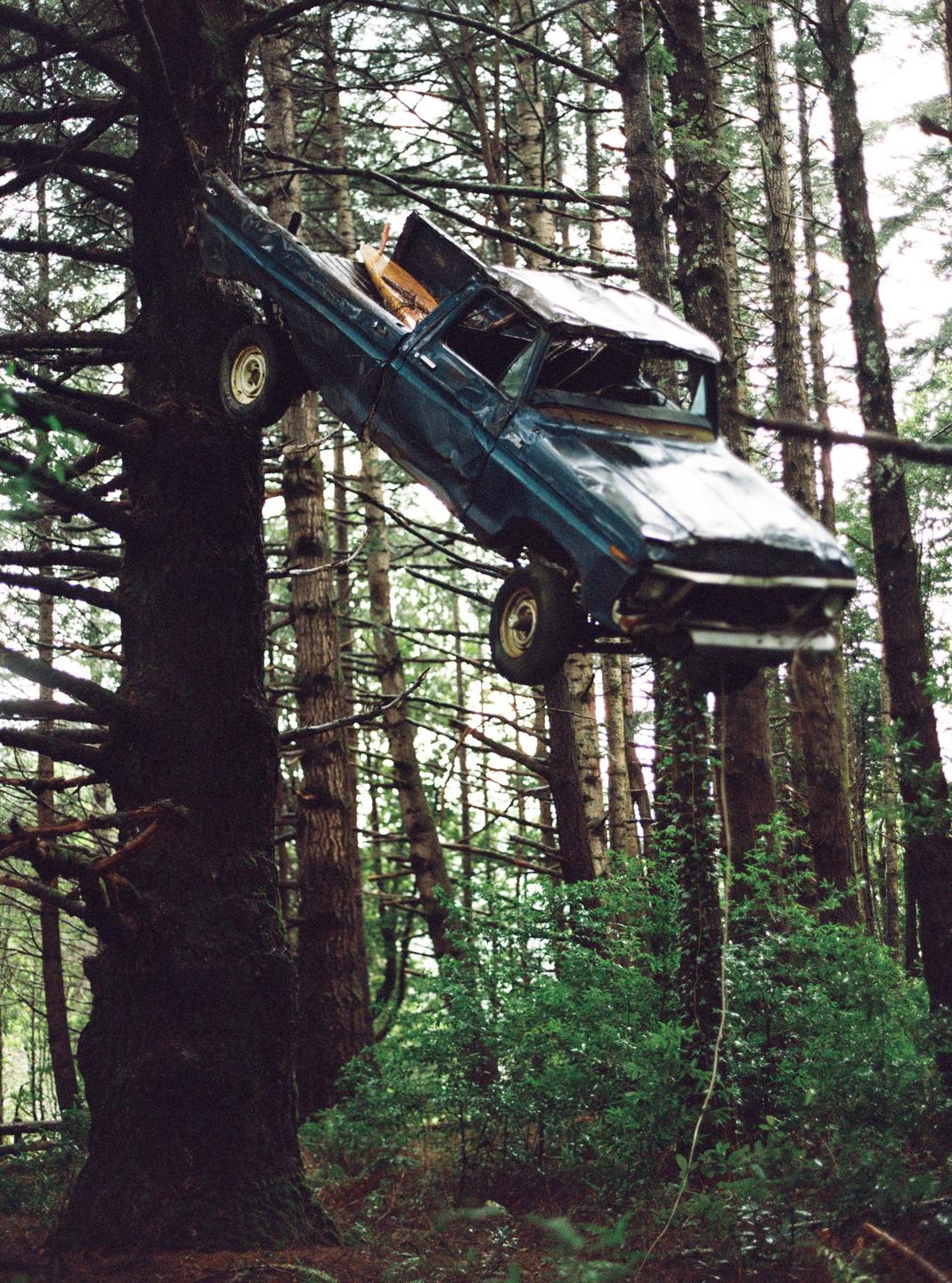 A blue pickup truck is suspended in a tall tree in a forest.