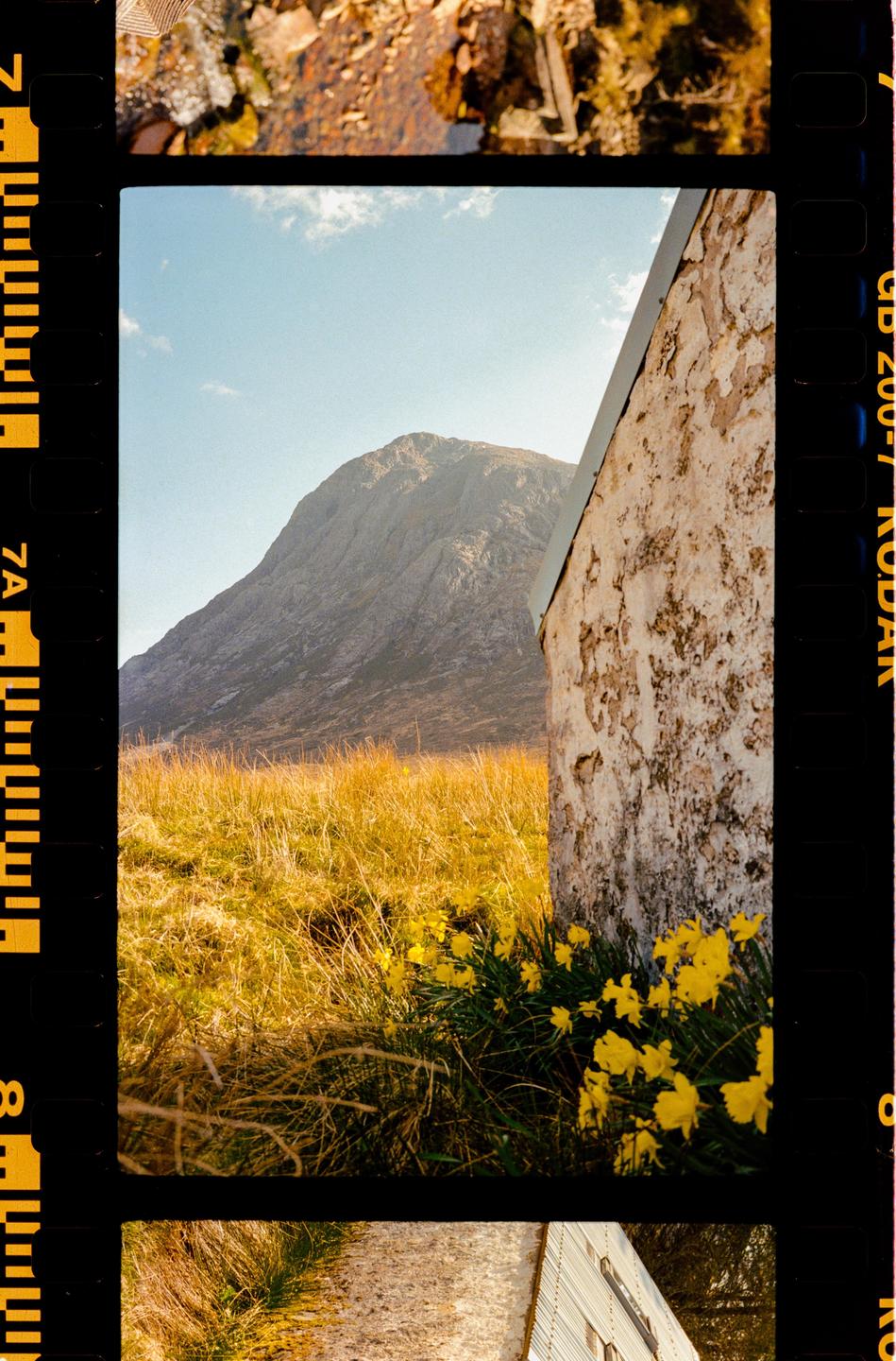 A stone building stands in a field of tall grass and yellow flowers with a large mountain in the background.