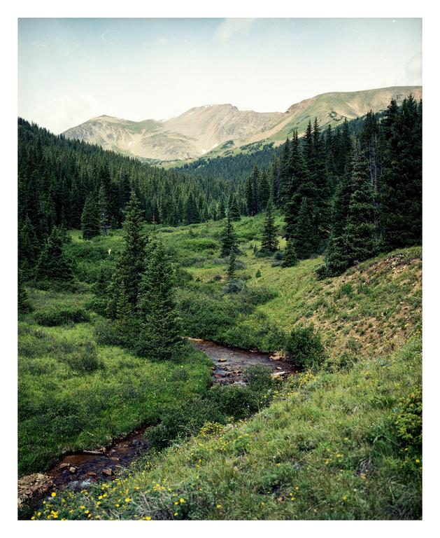 A stream flows through a valley filled with pine trees and green foliage, with mountains in the background.