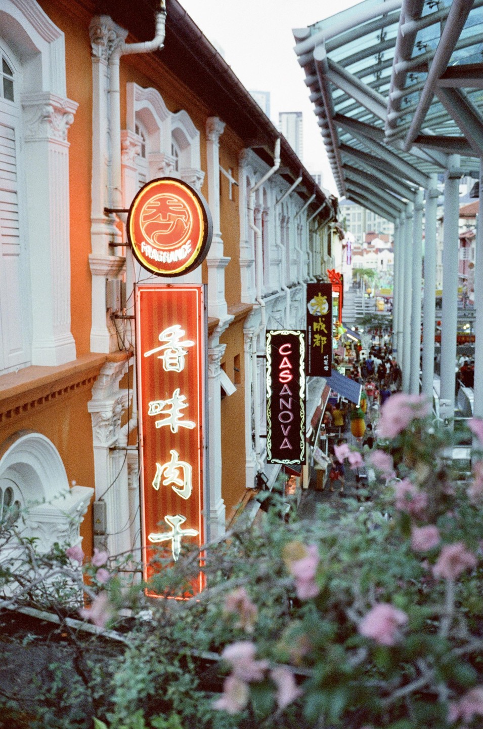 A street in Chinatown, Singapore, is lined with buildings featuring neon signs and a glass canopy overhead.